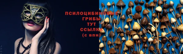 MDMA Волоколамск