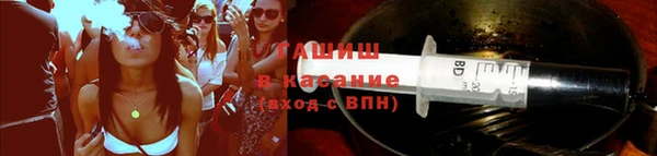 гидра Володарск