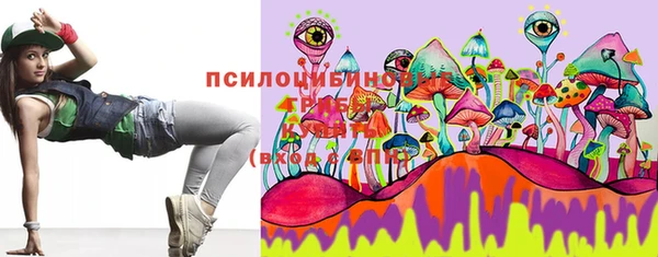 гидра Володарск